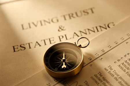 Will and Trust Planning Document